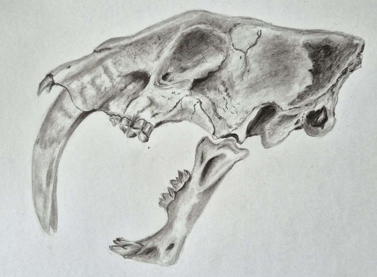 smilodon